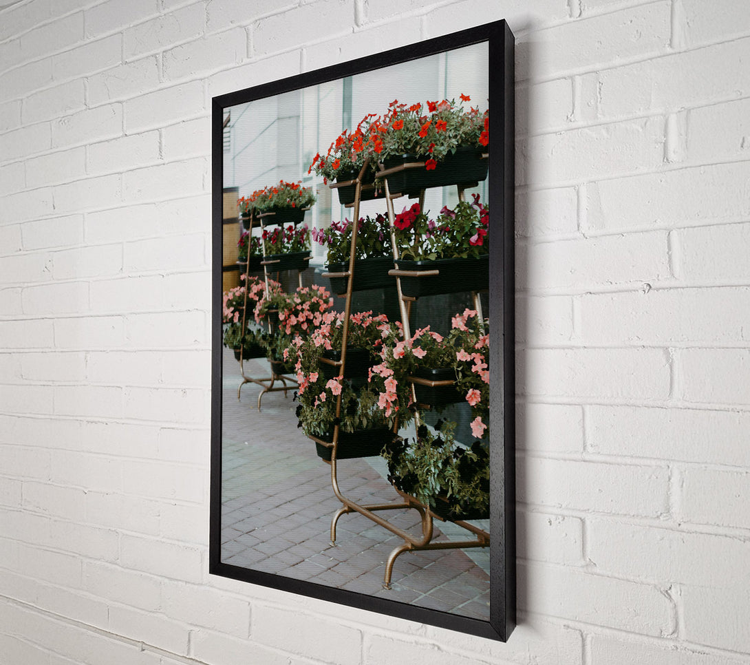  A Canvas Print of Pink Urban Blooms Canvas Wall Art