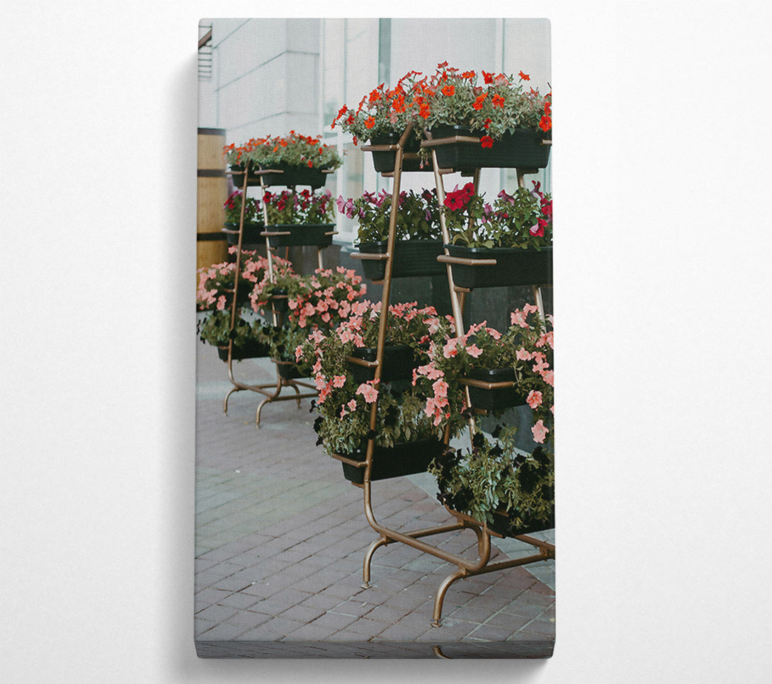  A Canvas Print of Pink Urban Blooms Canvas Wall Art
