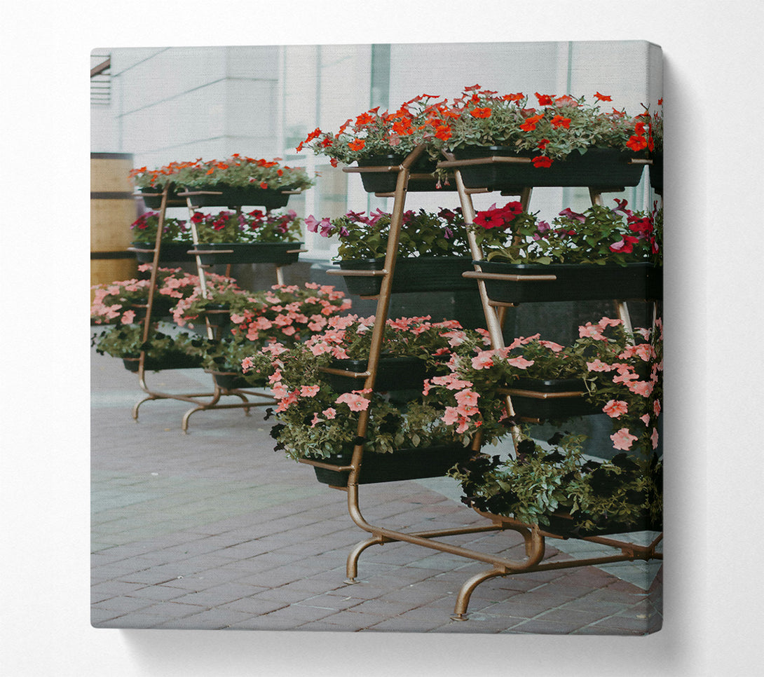  A Canvas Print of Pink Urban Blooms Canvas Wall Art