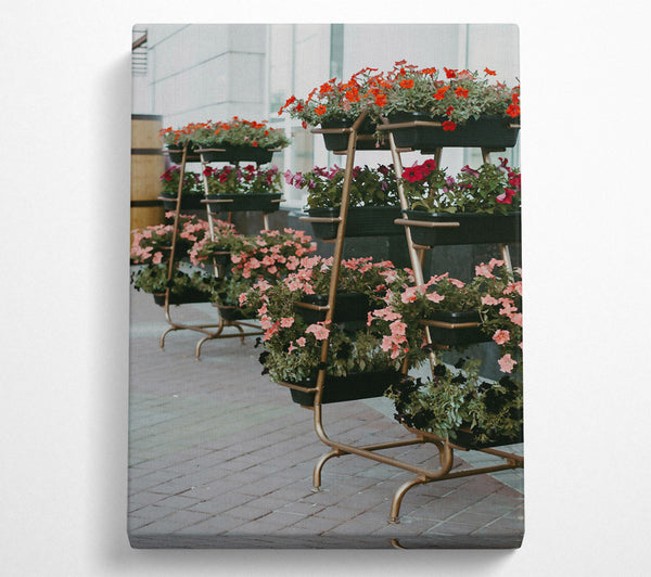  A Canvas Print of Pink Urban Blooms Canvas Wall Art