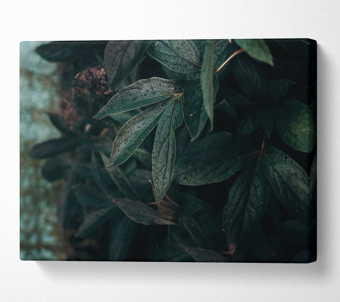  A Canvas Print of Emerald Dew Drops Canvas Wall Art