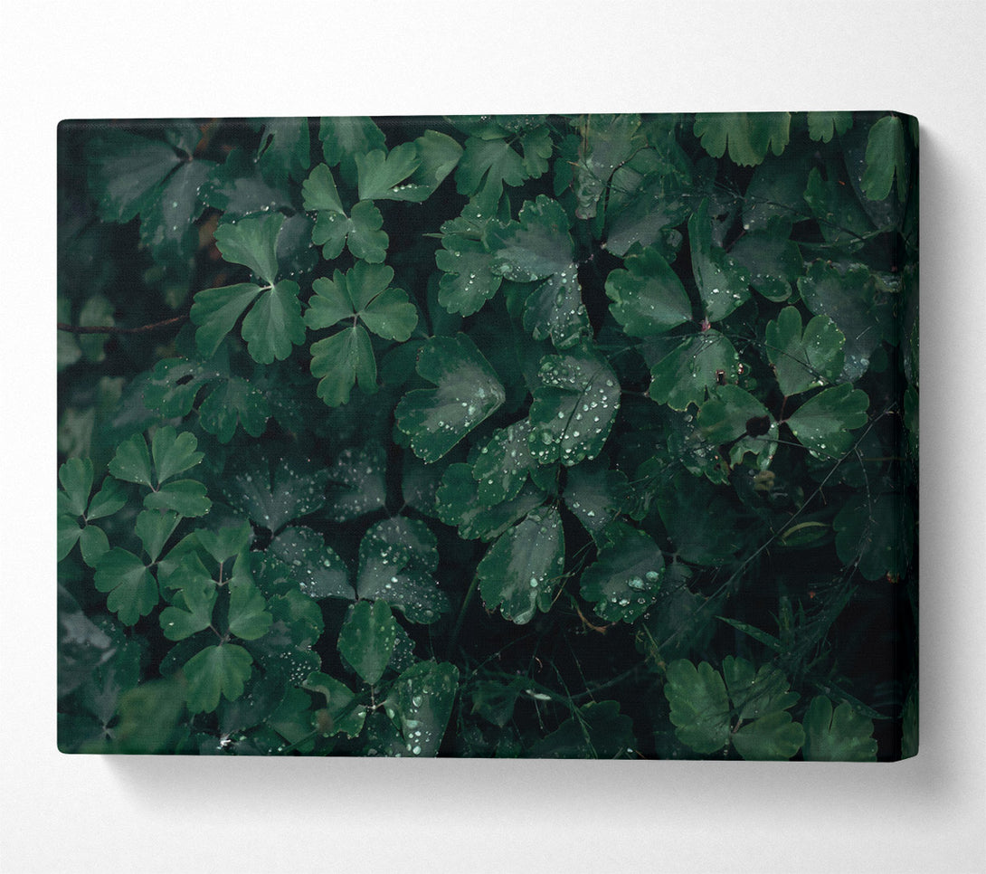  A Canvas Print of Emerald Dew Drops Canvas Wall Art