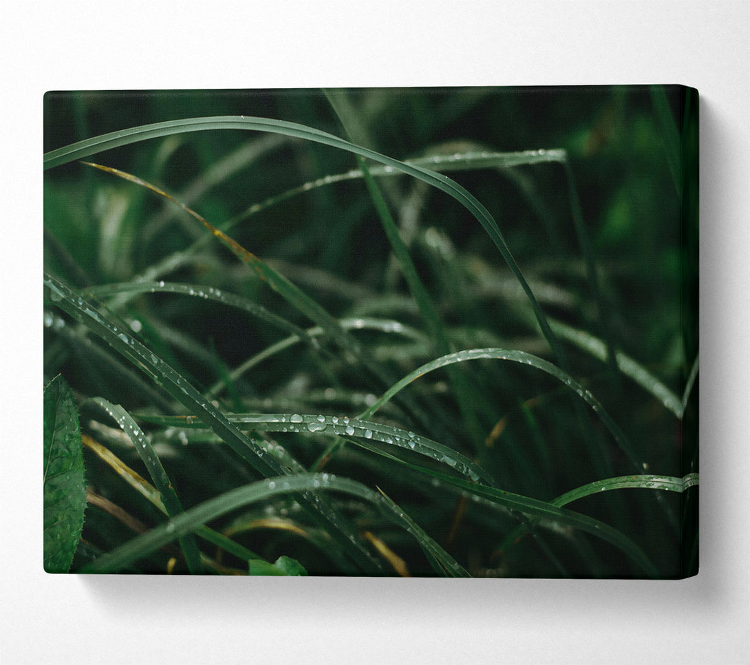  A Canvas Print of Emerald Dew Drops Canvas Wall Art