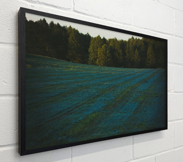 Azure Field Lines