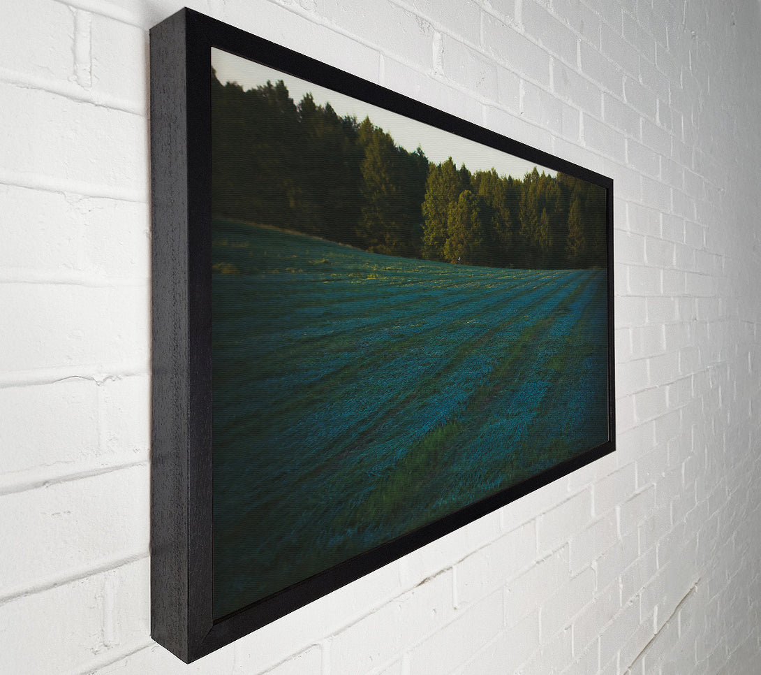  A Canvas Print of Azure Field Lines Canvas Art