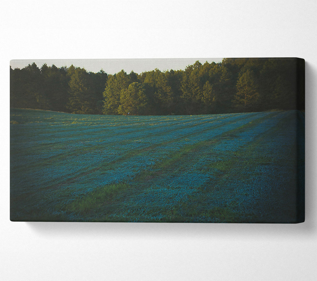  A Canvas Print of Azure Field Lines Canvas Art