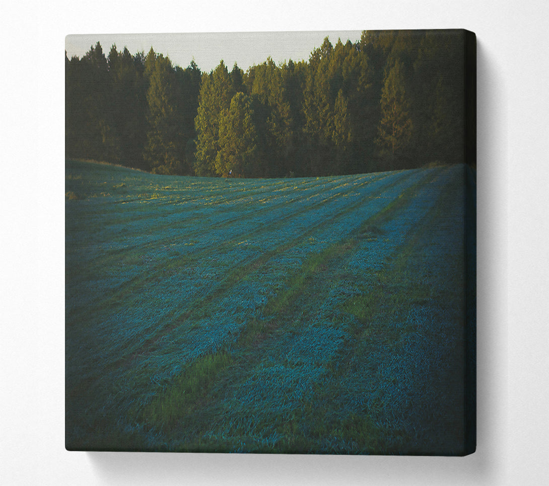  A Canvas Print of Azure Field Lines Canvas Art