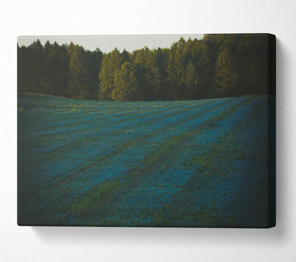  A Canvas Print of Azure Field Lines Canvas Art