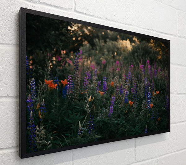 Blue Wildflower Field