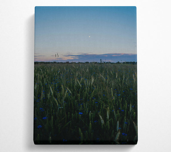  A Canvas Print of Blue Dusk Field Canvas Art