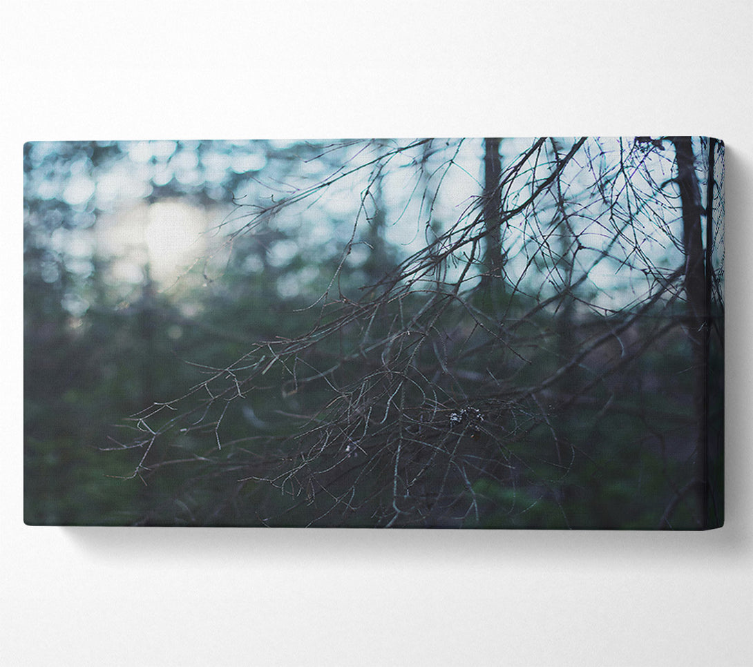  A Canvas Print of Blue Forest Light Canvas Print