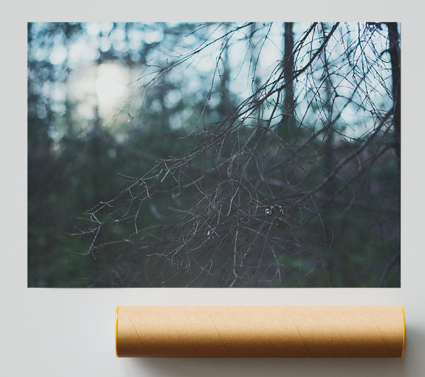 Blue Forest Light Poster