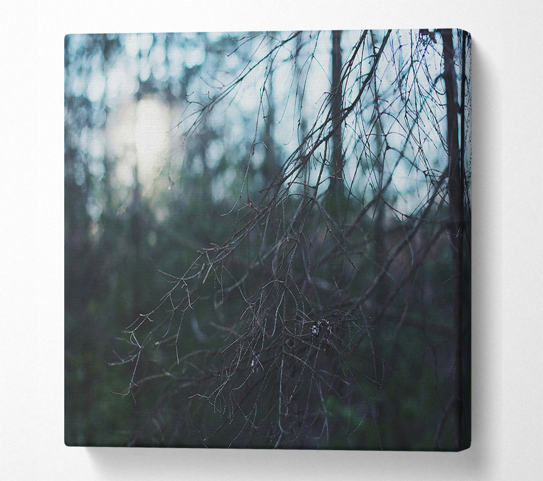  A Canvas Print of Blue Forest Light Canvas Print
