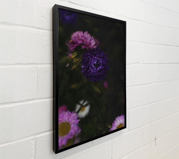 Purple Bloom In Darkness