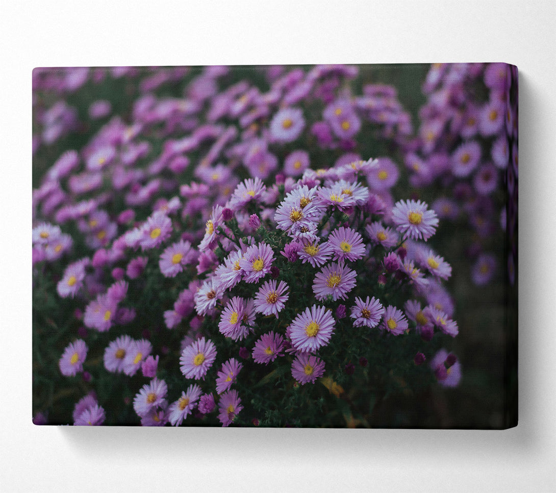  A Canvas Print of Loading... Canvas Print