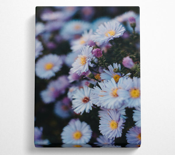  A Canvas Print of Lavender Wildflowers Bloom Canvas Wall Art