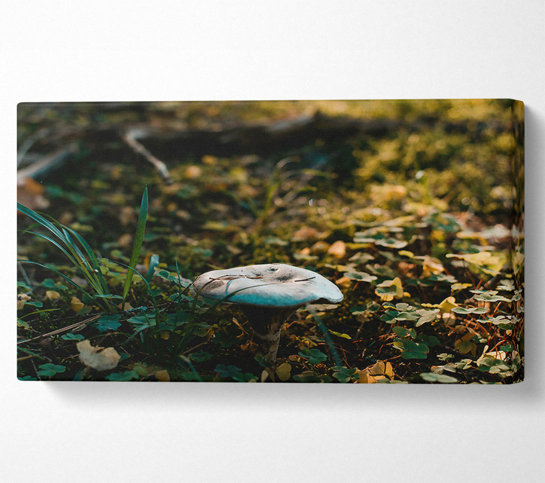  A Canvas Print of Blue Forest Fungus Canvas Wall Art
