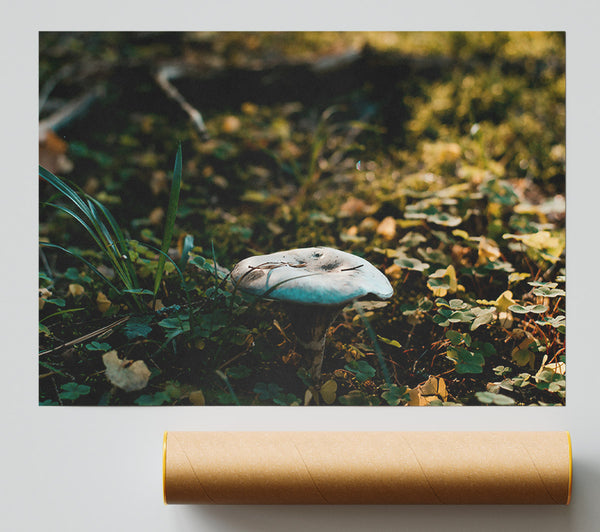 Blue Forest Fungus Print