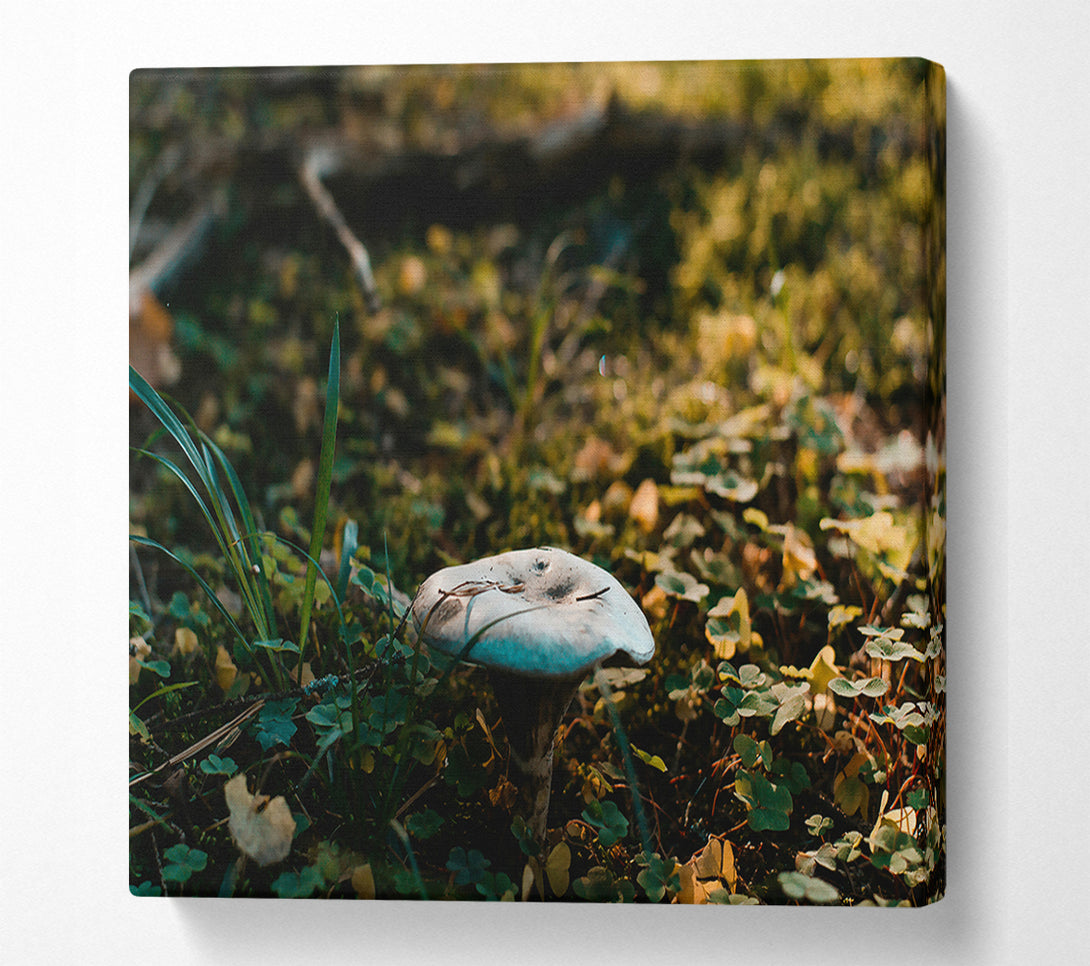  A Canvas Print of Blue Forest Fungus Canvas Wall Art