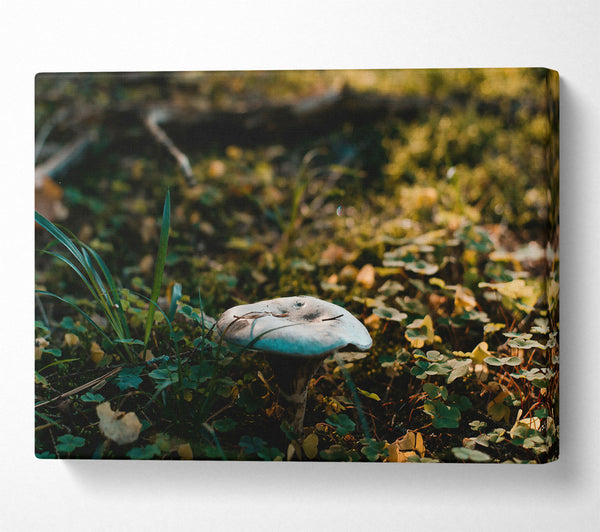  A Canvas Print of Blue Forest Fungus Canvas Wall Art