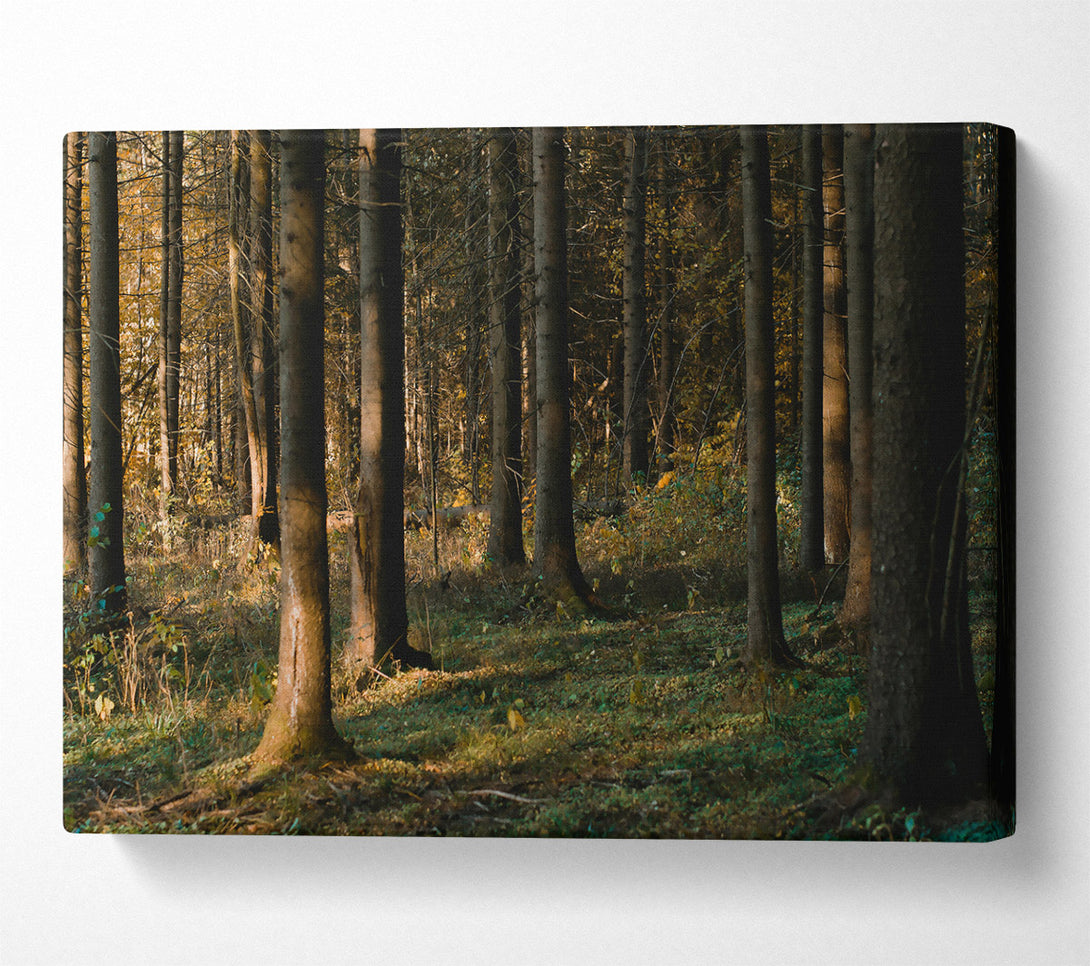  A Canvas Print of Loading... Canvas Print