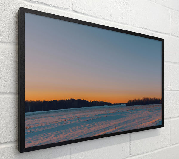 Orange Winter Field