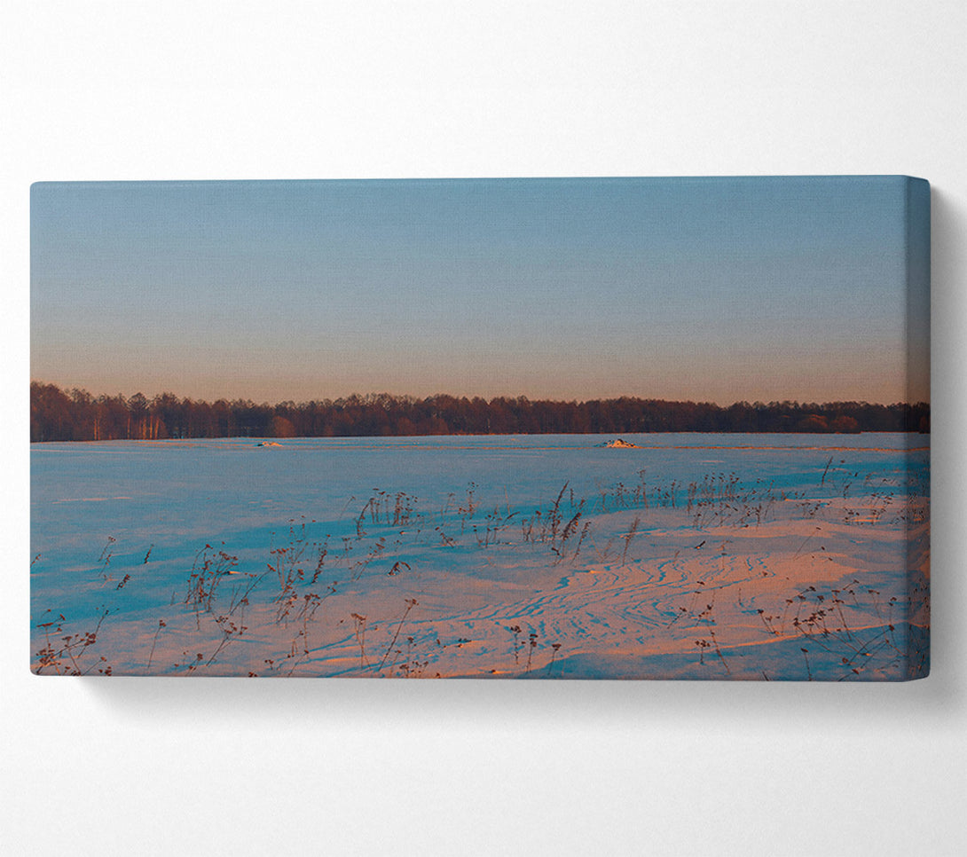  A Canvas Print of Pink Snow Field Canvas Art