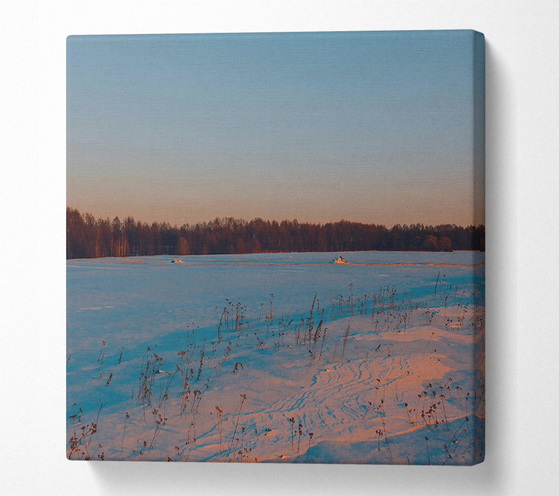  A Canvas Print of Pink Snow Field Canvas Art