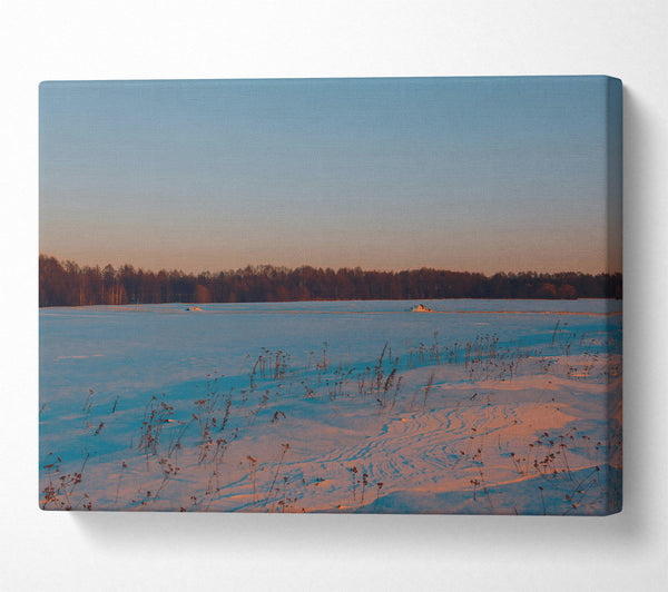 A Canvas Print of Pink Snow Field Canvas Art