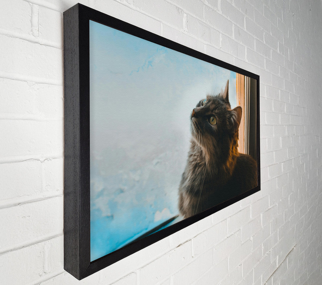  A Canvas Print of Blue Eyes And Grey Fur Canvas Wall Art