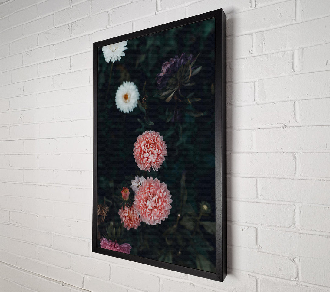  A Canvas Print of Pale Pink Blooms Canvas Wall Art