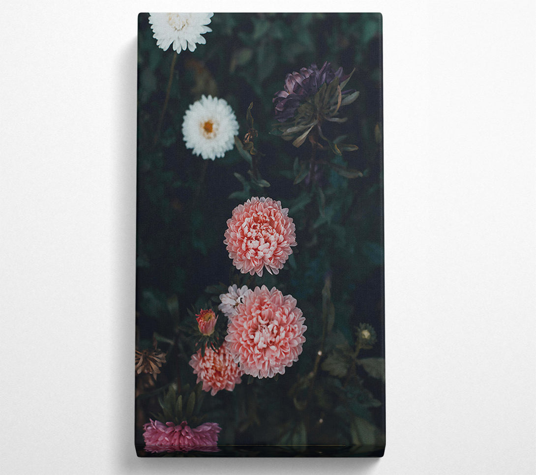  A Canvas Print of Pale Pink Blooms Canvas Wall Art