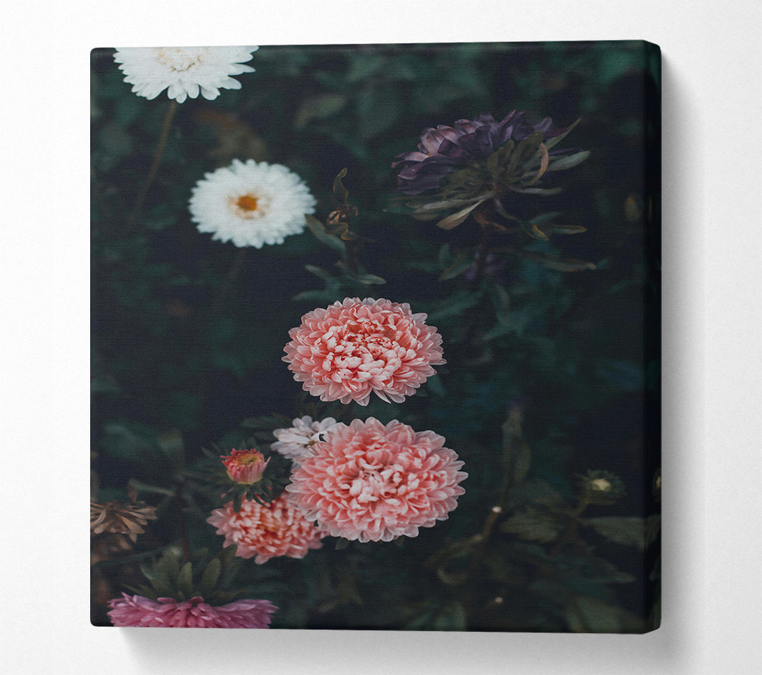 A Canvas Print of Pale Pink Blooms Canvas Wall Art
