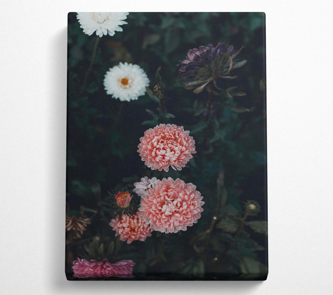  A Canvas Print of Pale Pink Blooms Canvas Wall Art