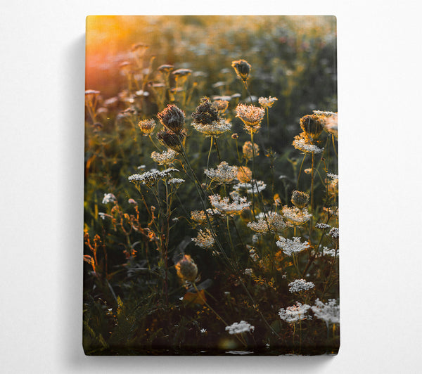  A Canvas Print of Orange Wildflowers Glow Canvas Wall Art