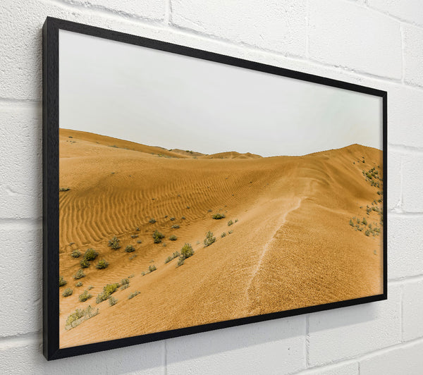 Golden Sand Dunes Path