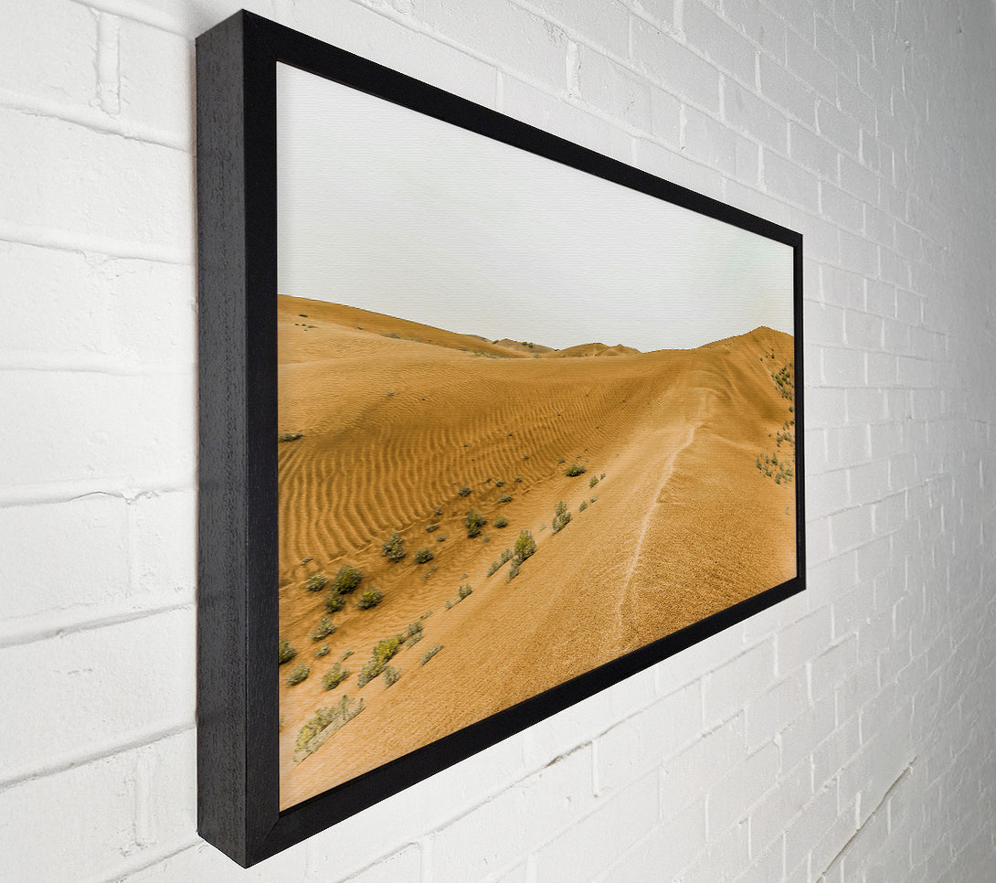  A Canvas Print of Golden Sand Dunes Path Canvas Print