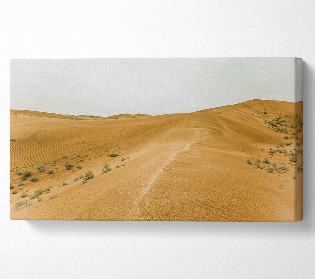  A Canvas Print of Golden Sand Dunes Path Canvas Print