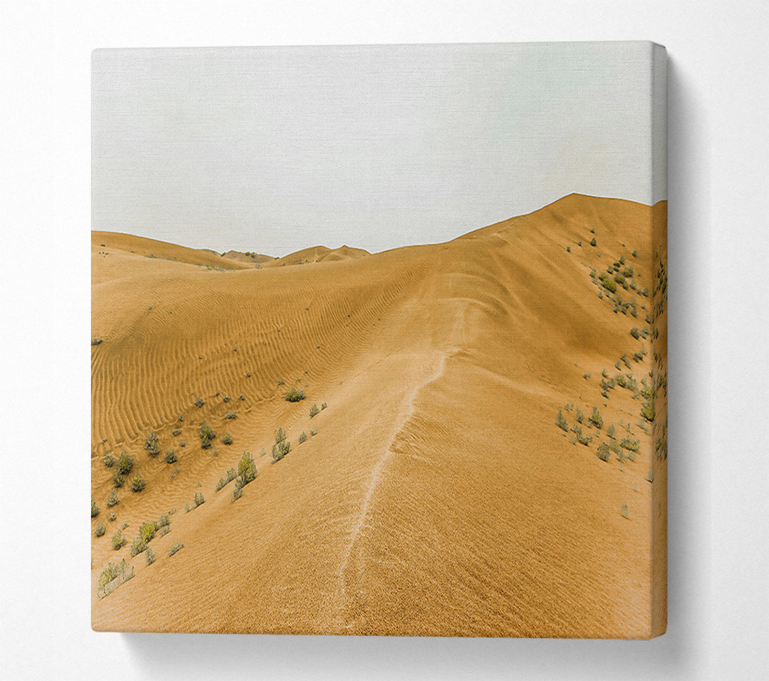  A Canvas Print of Golden Sand Dunes Path Canvas Print