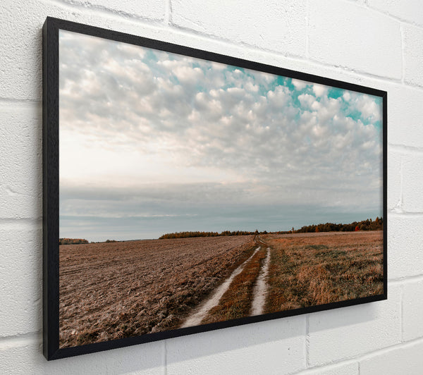 Teal Sky Path