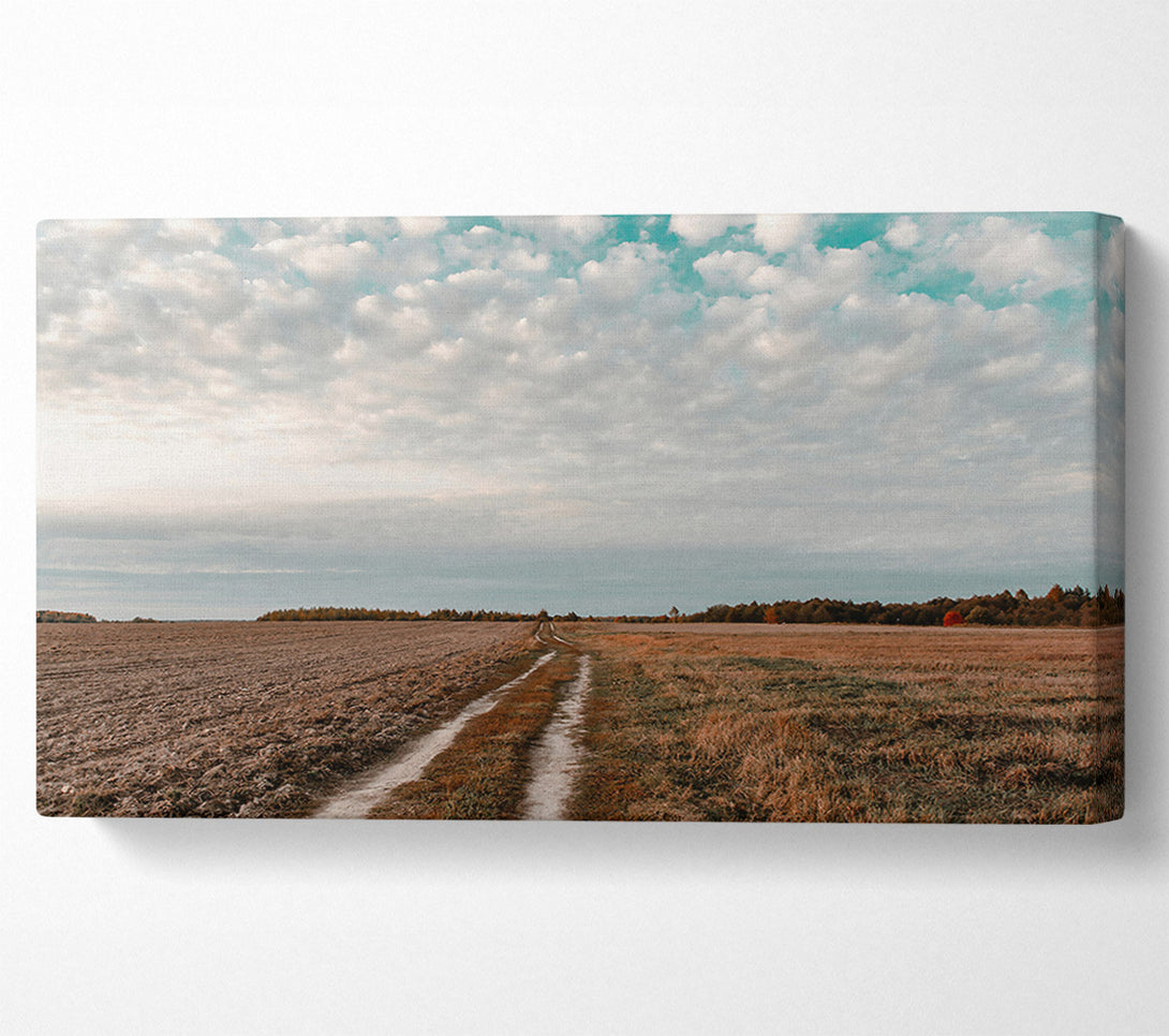 A Canvas Print of Teal Sky Path Canvas Print
