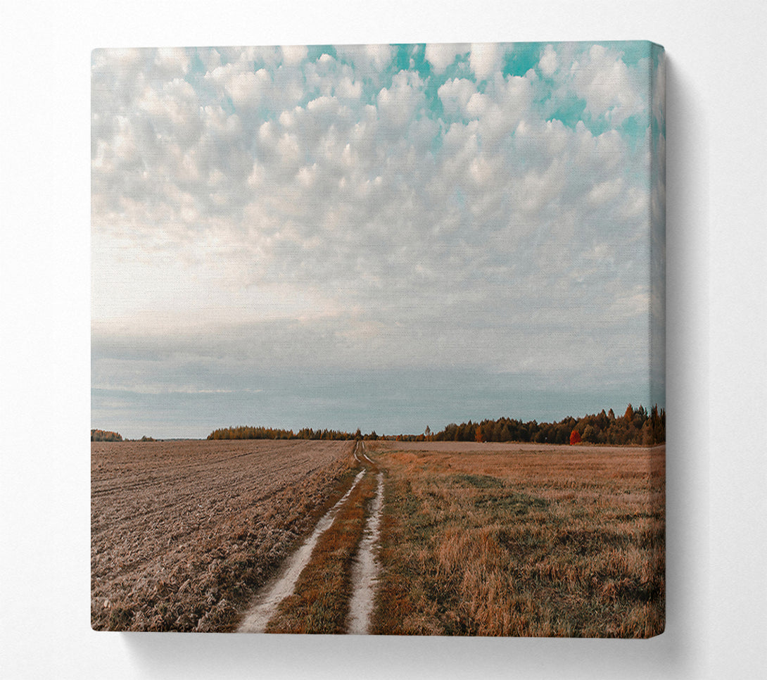  A Canvas Print of Teal Sky Path Canvas Print