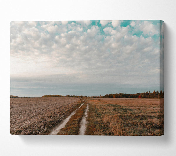  A Canvas Print of Teal Sky Path Canvas Print