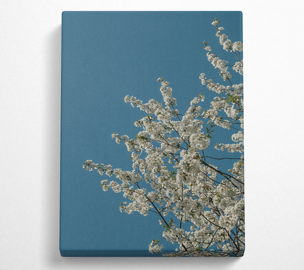  A Canvas Print of Blue Sky Blossoms Canvas Art
