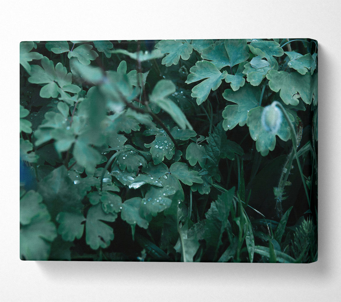  A Canvas Print of Emerald Dew Drops Canvas Wall Art