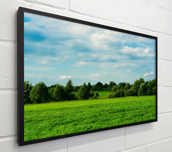 Green Field Serenity