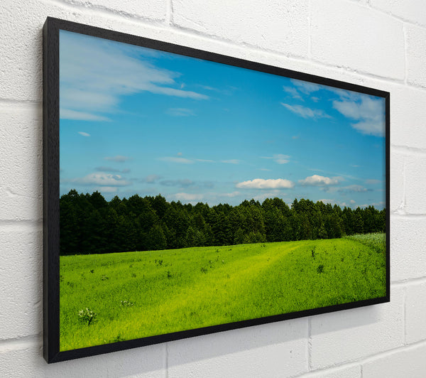 Green Fields And Sky
