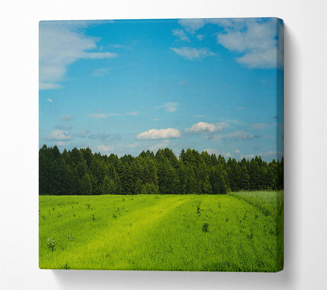  A Canvas Print of Green Fields And Sky Canvas Print