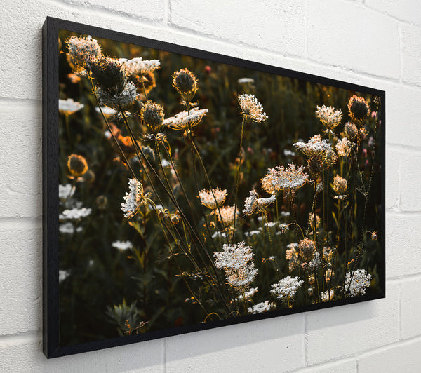 Golden Wildflower Bloom