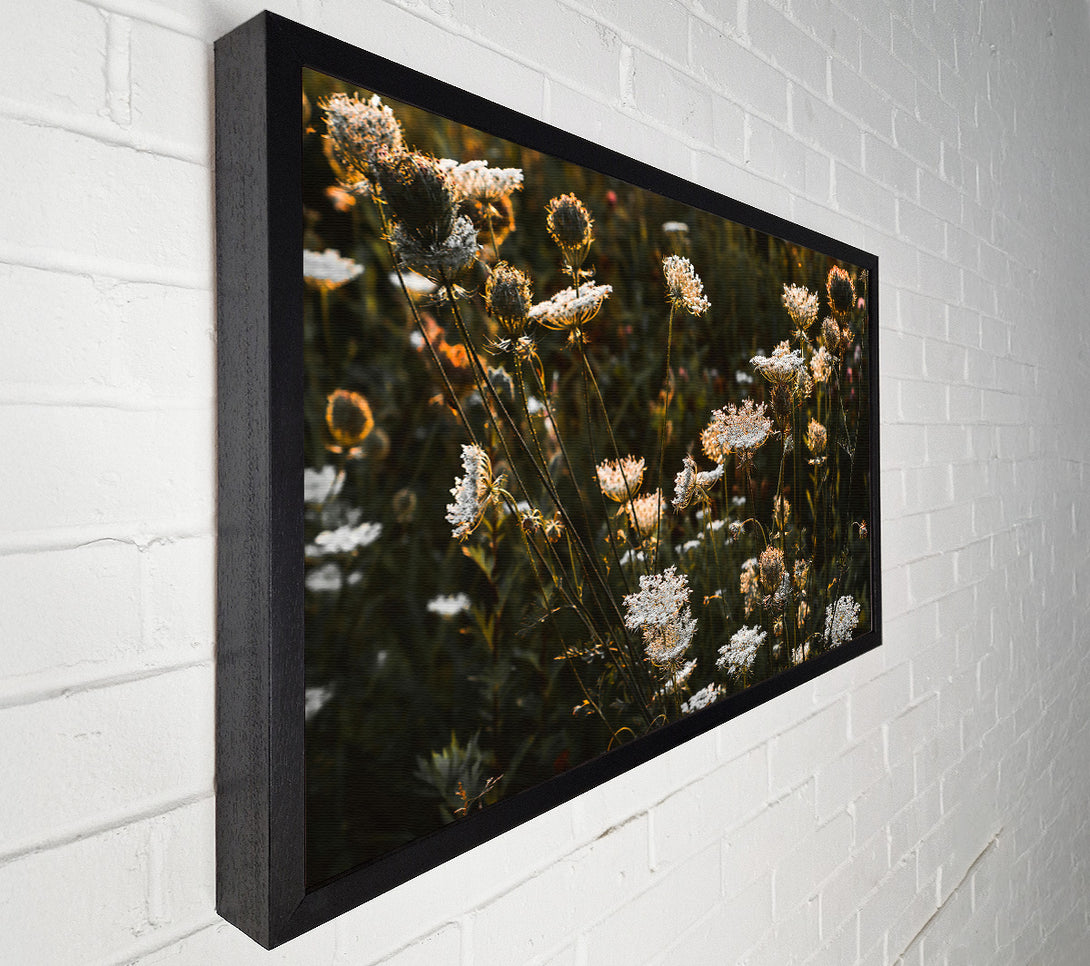  A Canvas Print of Golden Wildflower Bloom Canvas Wall Art